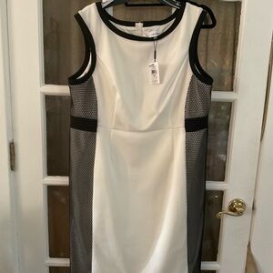 Calvin Klein dressy dress